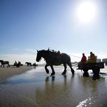 In Near Sandy Beaches, Cleaning Included * Nieuwpoort